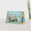 Search for turtle shell cards Reptile
