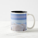 Search for sow mugs Global warming