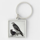 Search for bird of prey keychains Feathers