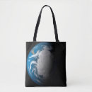 Search for simulation bags Earth
