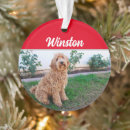 Search for brown dog ornaments Pets