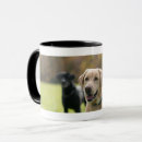 Recherche de labrador jaune tasses Chien