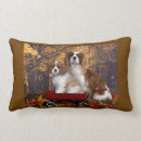 Recherche de cavalier coussins Épagneul