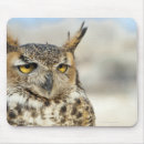 Recherche de hibou cornes tapis souris Faune