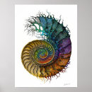 Search for fossil posters Ammonite