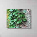 Search for tree bark canvas prints Green