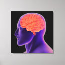 Search for neuroanatomy art Medicine