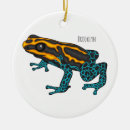Search for dart ornaments Frog