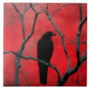 Search for red and black tiles Nature