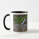 Search for virgin river mugs Landscape
