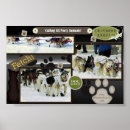 Recherche de chien de traîneau posters Alaska