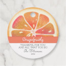 Search for grapefruit Grapefruit slice