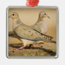 Search for mourning doves ornaments Wildlife