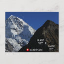 Search for schweizer Swiss