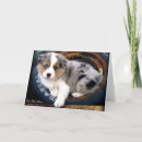 Search for australian shepherds cards Cute