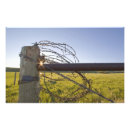 Search for barbe posters Ranch