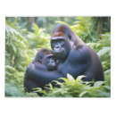 Search for affection notepads Animal