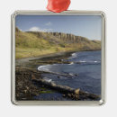 Search for coast ornaments Seashore