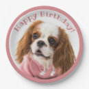 Search for cavalier king charles birthday crafts party Pet
