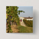Recherche de cave badges Agriculture