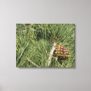 Recherche de botanical toile impressions art Nature