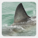 Search for swimming with sharks stickers Danger