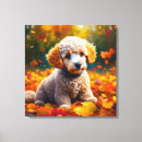 Search for poodle canvas prints Animals