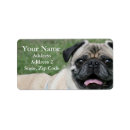 Search for pug dog return address labels Puppies