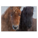 Recherche de cheval islandais dessous de verres Animal