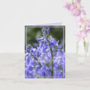 Search for bluebell cards Nature