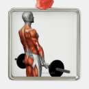 Search for light weight posters Human body part