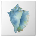 Search for conch tiles Shells