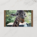 Search for giraffe business cards Zoo