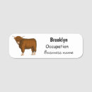 Search for cow name tags Beef