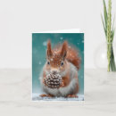Search for red squirrel cards Winter