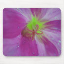 Search for purple bloom electronics Blossom