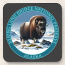 Recherche de béring Arctique