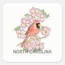 Search for watercolor cardinal bird stickers Wildlife