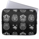 Recherche de anatomie coques Cerveau