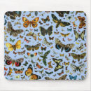 Recherche de dessin papillon souris clavier Illustration