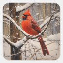 Search for winter forest stickers Bird