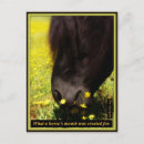 Recherche de boucher cartes postales Nature