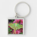 Search for nancy keychains Superstock
