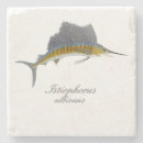 Search for deepsea Marlin