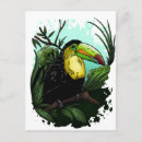 Recherche de oiseau toucan cartes postales Coloré