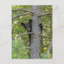 Recherche de danita delimont posters Ours