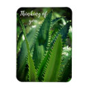 Search for sea green magnets Beautiful