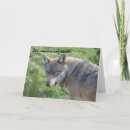 Recherche de wolf anniversaire cartes Sauvage