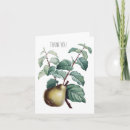 Recherche de poires vœux cartes Vintage