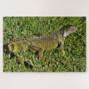 Recherche de lizard puzzles Faune